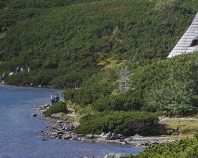 Quiero ser guarda de refugio, ¿qué necesito?