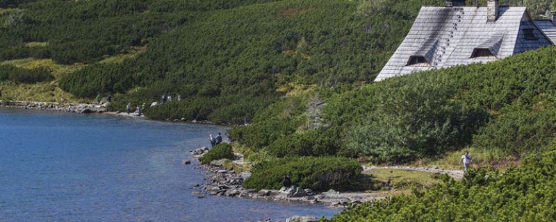 Quiero ser guarda de refugio, ¿qué necesito?