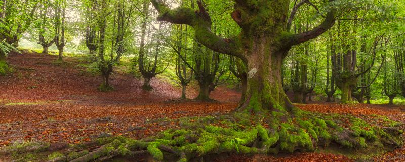 Los 55 espacios naturales vascos de mayor valor ecológico, de un vistazo