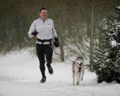 Canicross, correr con tu perro