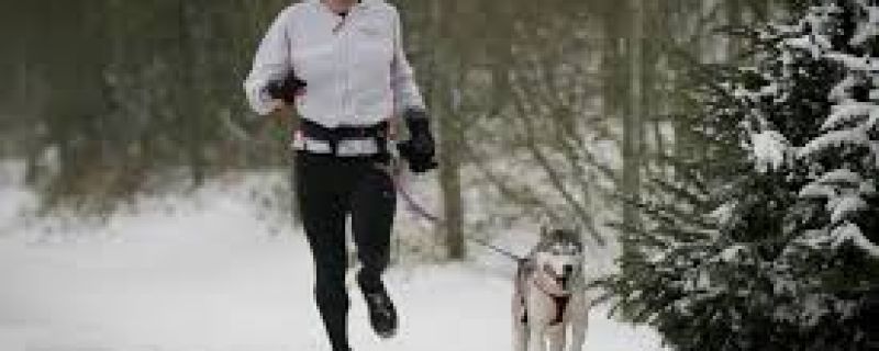 Canicross, correr con tu perro
