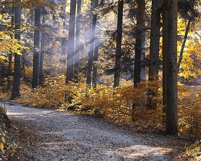 Montañas y bosques para disfrutar en otoño