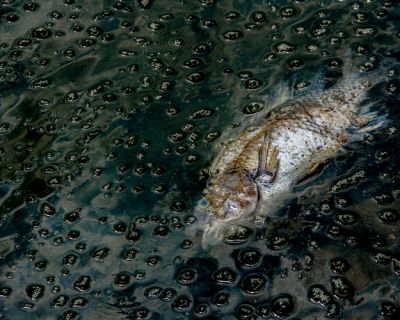 Baotou, el lago más tóxico del planeta