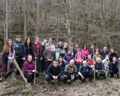 ¡Anímate a colaborar en la restauración de los bosques vascos!